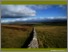 [thumbnail of Lyons et al. 2018 - Managing biodiversity in upland calcareous grassland landscapes.pdf]