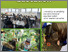 [thumbnail of Journal Article]